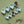 Loveramics Champions Signature Bean Dosing Trays - Celadon Blue (Set of 2)